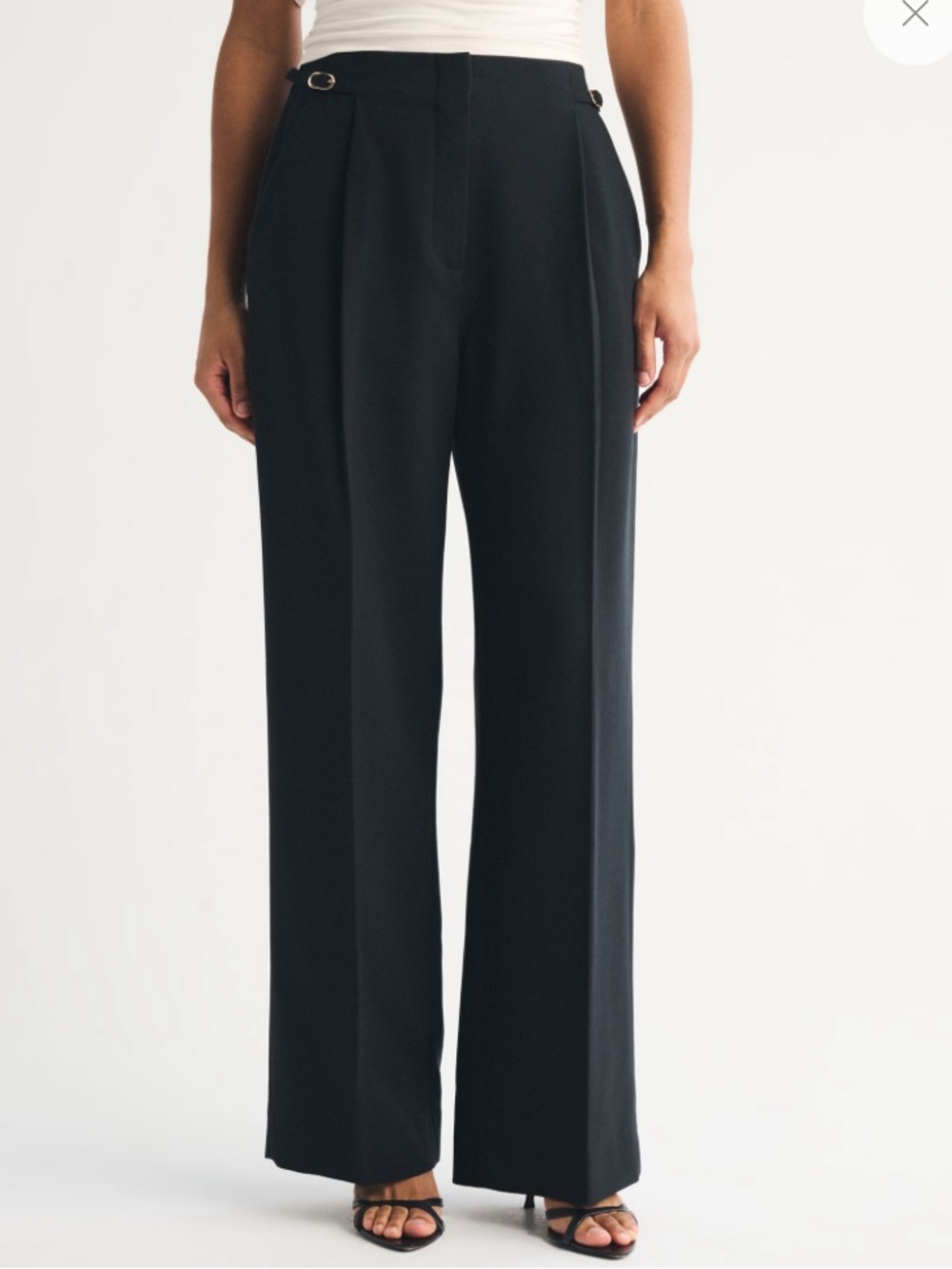 Curve Love A&F Sloane Tailored Wide Leg Pant (Size 29 Short)